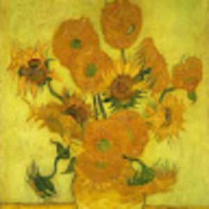 Meet your Posher, Zoe